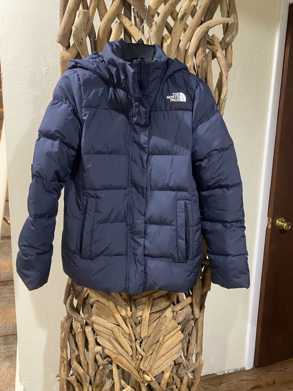 The North Face Navy Blue Puffer Jacket with Hood